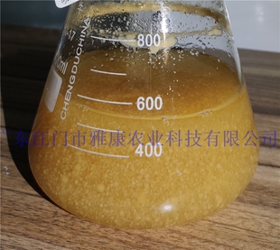 江门雅康金耳 银耳 姬松茸液体菌种培养基蛋白胨发酵罐培养料