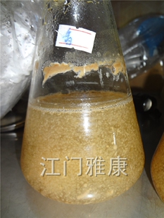 江门雅康密环菌 萌发菌液体菌种培养基 食用菌发酵罐培养料