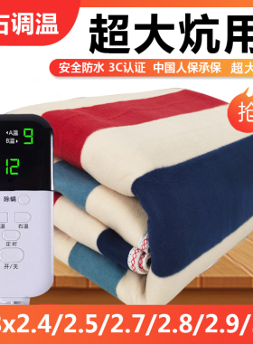 超大电热毯双人双控调温多人电褥子3米1.8m2.7m2.4加大炕用榻榻米