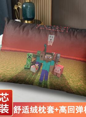 我的世界枕头MC麦块枕芯枕套装游戏学生寝室午睡抱枕床上用品定制