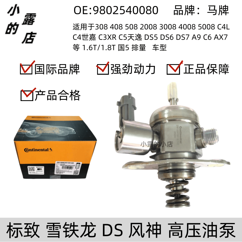 天逸4008DS55008C5高压油泵标致
