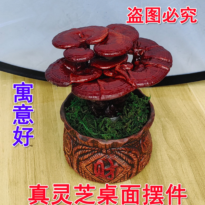 真灵芝桌面摆件寓意好招财进宝家居装饰品提升生活仪式人工培育