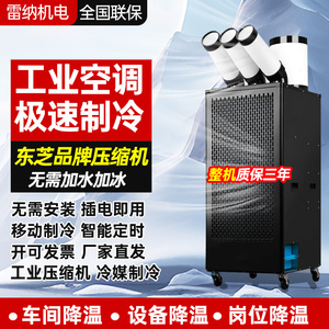 雷纳工业冷气机商用移动空调一体机立式压缩机制冷风厂房车间降温