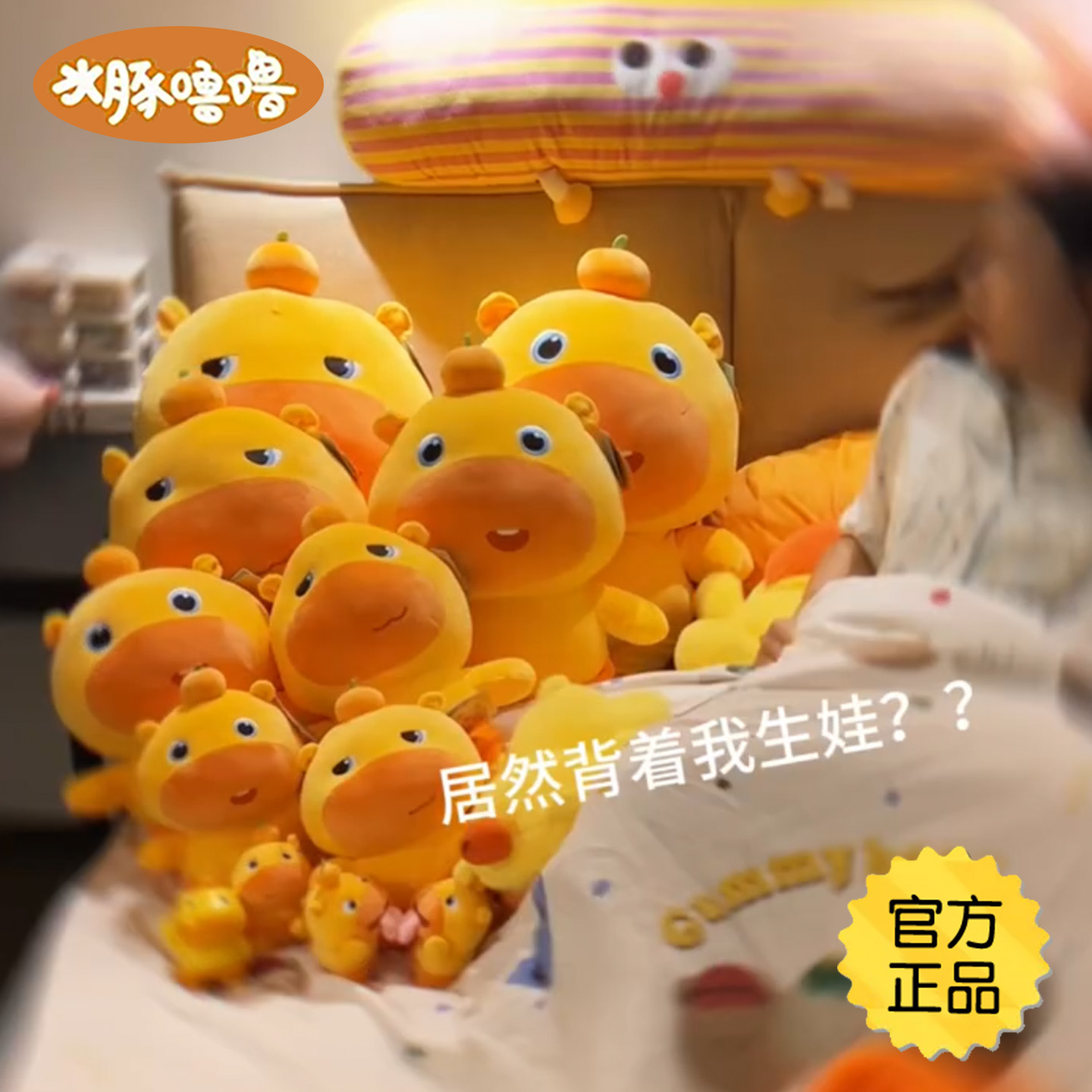 正品水豚噜噜玩偶抱枕生日礼物女生送男朋友闺蜜女孩大号睡觉专用