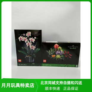 乐高创意10311 兰花蝴蝶兰 10309多肉 盆景女孩拼装积木玩具摆件