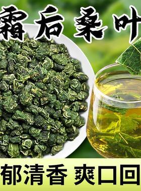 【霜后桑叶茶】纯手工制茶500g