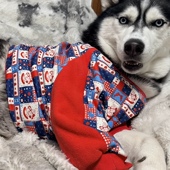 宠物狗新过年喜庆中大型犬拉布拉多萨摩耶边牧护肘关节防磨损衣服