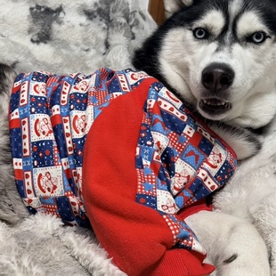 宠物狗新过年喜庆中大型犬拉布拉多萨摩耶边牧护肘关节防磨损衣服