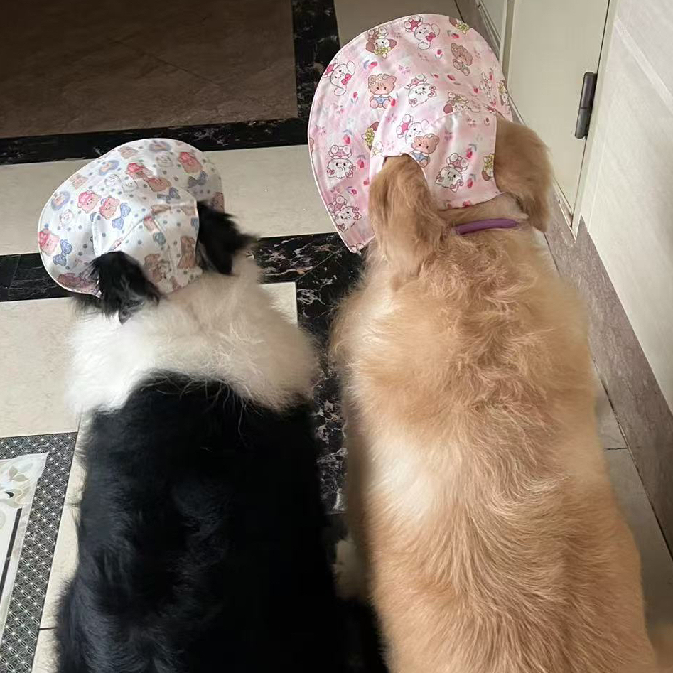 宠物狗狗夏季薄款透气防晒降温宠物衣服边牧金毛中大型犬渔夫帽子