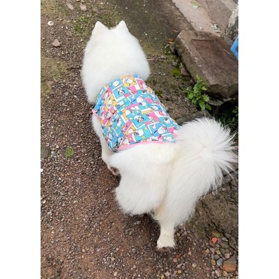 宠物狗狗衣服无袖夏季网眼速干凉凉衣萨摩耶金毛防晒中大型犬背心