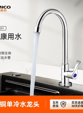 埃美柯amico 黄铜单冷洗衣槽水龙头拖把池阳台全铜健康用水可旋转
