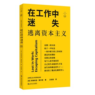 正版书 在工作中迷失：逃离资本主义   [英] 阿梅利亚·霍尔根著 拜德雅 上海文艺出版社