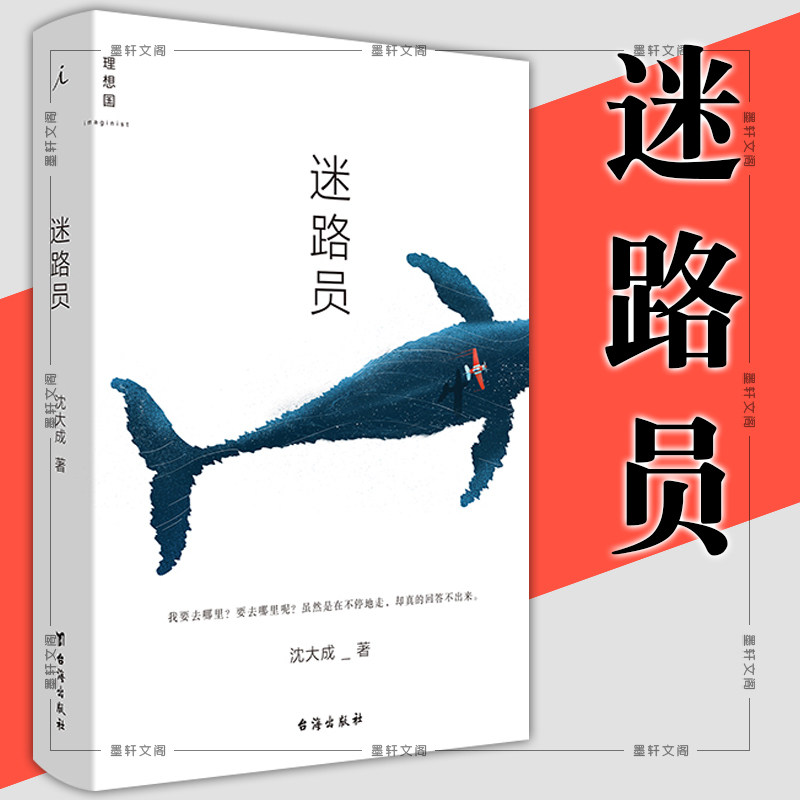 现货正版   迷路员 沈大成著  理想国出版