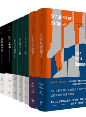 正版书 雷马克作品套装9册 天堂里的影子+西线无战事+ 生命的火花+黑色方尖碑 +里斯本之夜+凯旋门+爱与死的年代+伙伴进行曲等