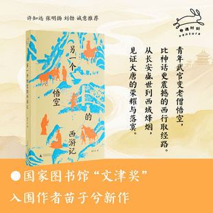 西游记 苗子兮著 奇遇时刻 现货正版 社 另一个悟空 广西师范大学出版 北京贝贝特 书