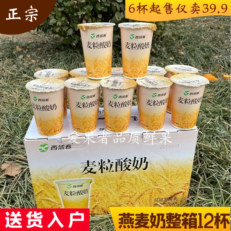 新疆西域春麦粒低温酸奶整箱12杯装 只能发北京天津河北包顺丰