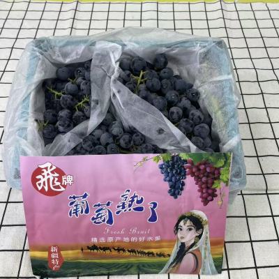 正宗新疆蓝莓葡萄新鲜无核水果