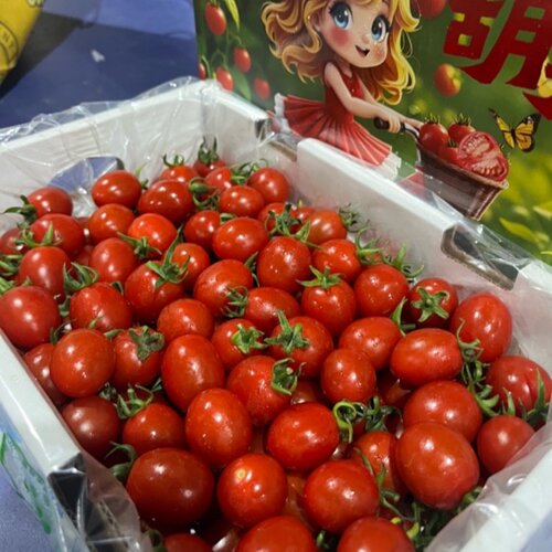 胡夫玲珑番茄小西红柿脆甜多汁