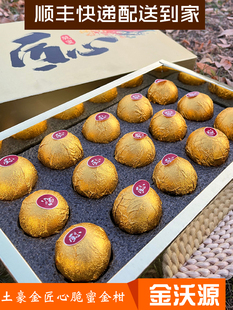金沃源土豪金匠心脆蜜金柑脆甜金桔费列罗版独立包装1.6斤礼盒包