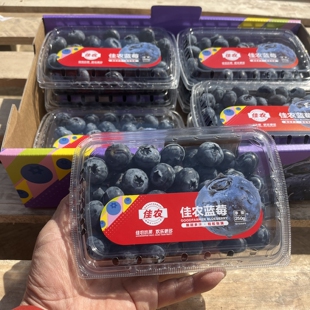 当季 盒 限量脆甜L25花香蓝莓包顺丰 云南蓝莓新鲜水果250g 佳农22
