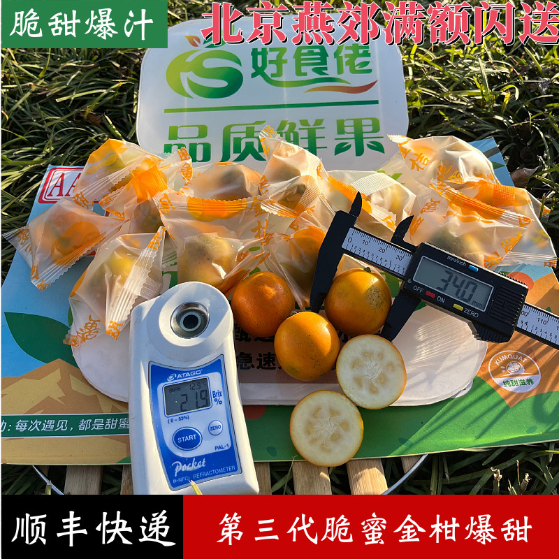 脆蜜金柑广西融安金桔独立包装纯甜第三代大金桔爆甜多汁顺丰快递