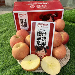 正宗万荣爆汁羊奶苹果 出口品质 新鲜水果 脆甜爆汁  万荣苹果