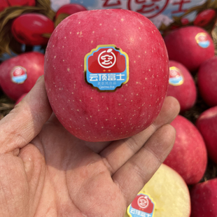 「满38元顺丰包邮」云顶富士静宁红富士苹果全红脆甜多汁鉴赏型