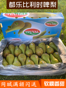 比利时Truval啤梨原箱18到26颗梨子新鲜青皮梨鲜果礼盒装都乐出品
