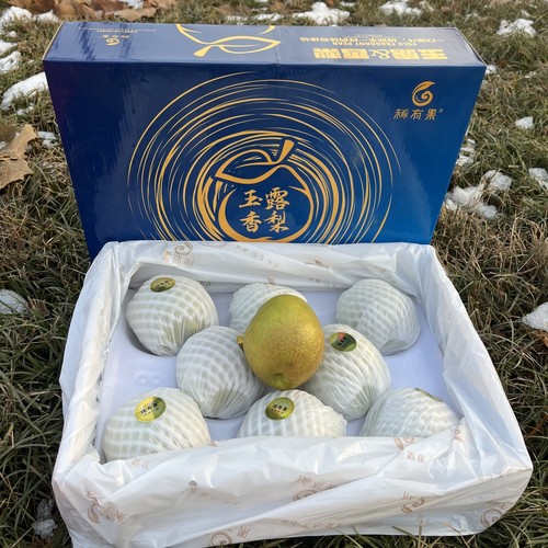 山西省隰县玉露香梨新鲜脆甜顺丰