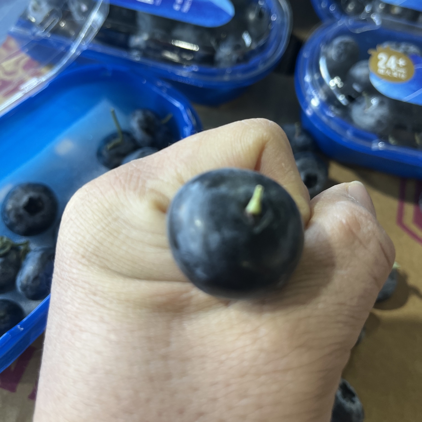 迷迭蓝大果蓝莓云南蓝莓鲜水果