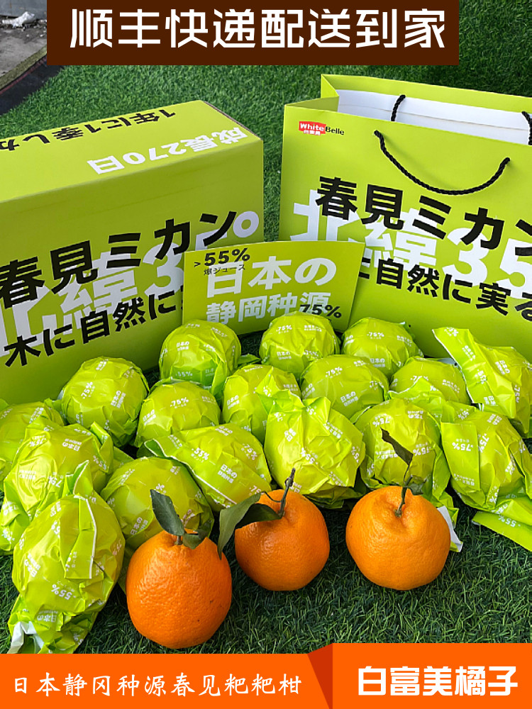 日本静冈种源春见粑粑柑原箱礼盒8斤新鲜水果纯甜18度白富美橘子,水产肉类/新鲜蔬果/熟食,桔子,淘宝优惠券,粉丝福利购,淘宝优惠卷