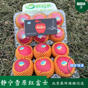 静宁雪原红富士苹果全红脆甜多汁鉴赏型中果顺丰快递圣诞平安果