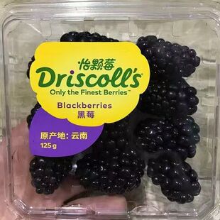 Driscoll 怡颗莓云南黑莓新鲜黑莓果黑加仑孕妇水果顺丰快递