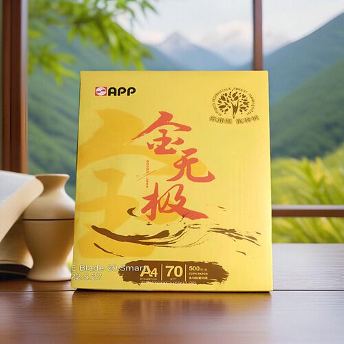 复印纸a4白纸晨光开发票整箱批发