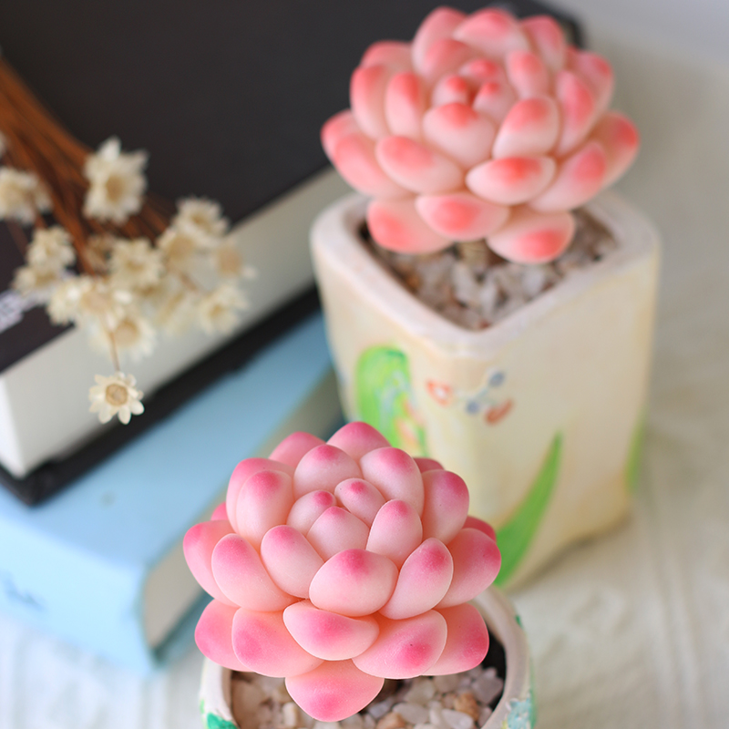 手工树脂黏土多肉植物仿真永生花雪天使桌面卧室装饰小盆栽摆件