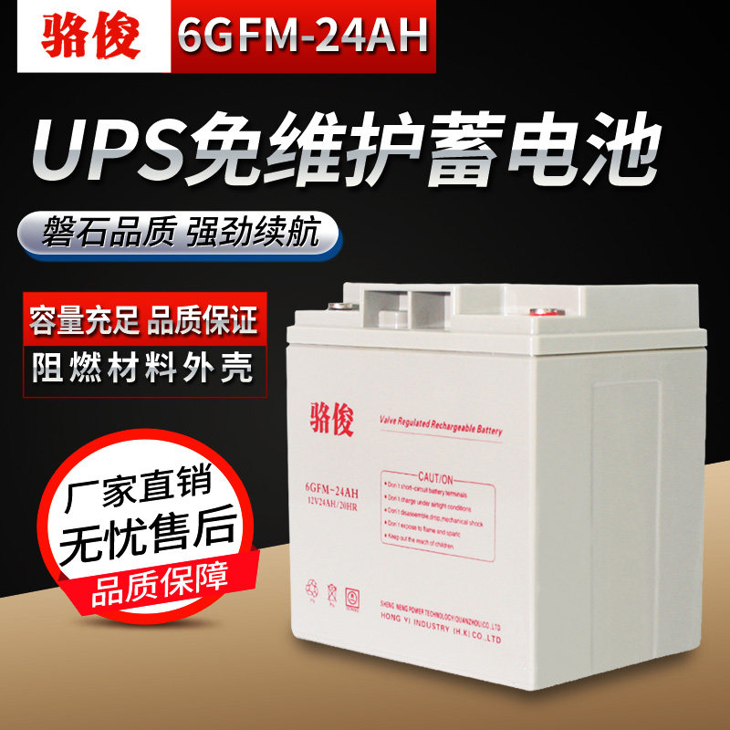 骆俊 UPS电源 6GFM-24 铅酸免维护蓄电池24AH 12V EPS直流屏电池