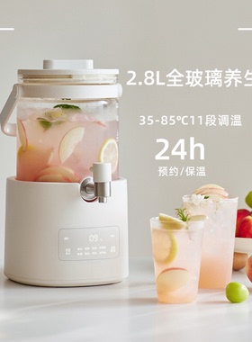 立时2.8L养生壶恒温水龙头优惠