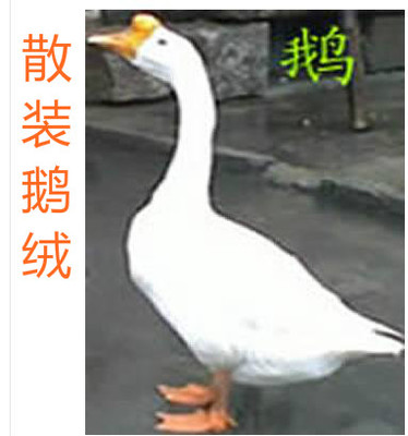 白鹅绒散装羽绒大朵原料填充物