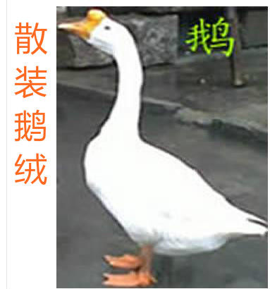 白鹅绒散装羽绒大朵原料填充物