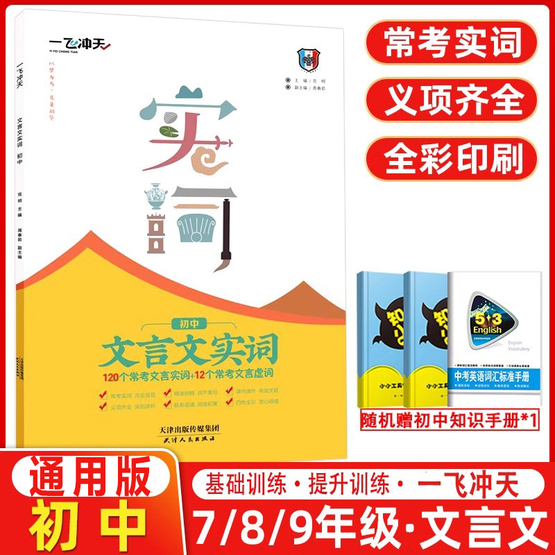 全新正版 天津专版一飞冲天文言文实词虚词训练初中语文专项训练阅读理解初中文言文中考语文常考试题研究七八九年级初三全国通用