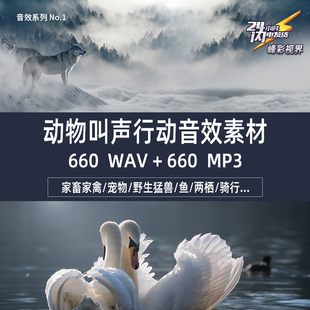 动物家禽野兽宠物狗猫马猪牛羊猴虎狮狼象鸡鸭鹅蛙豚行动叫声音效