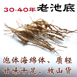 老池底野山参残林下参30-40年放山货人参纯野外无干预回甘足25g装