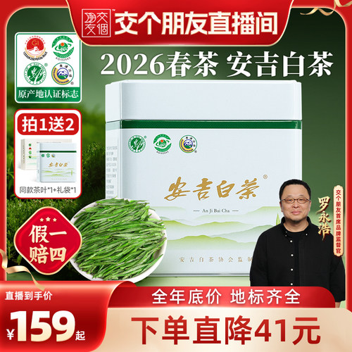 五虎明前安吉白茶绿茶