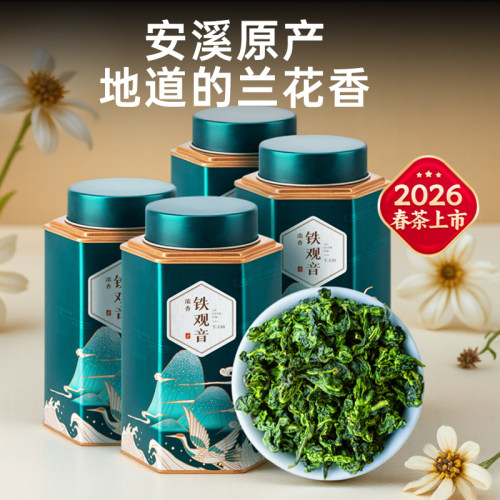五虎特级铁观音茶叶浓香型
