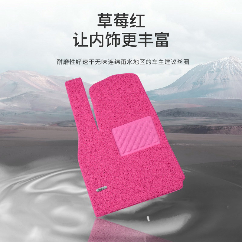 汽车丝圈脚垫女士专车专用车内耐脏防滑地垫女生个性草莓红色