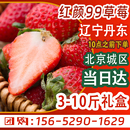 丹东红颜99草莓应季 新鲜水果奶油草莓孕妇东港九九