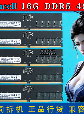 Anucel16GDDR5内存4800台式机