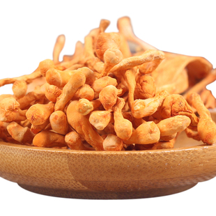 东北特产 虫草花干货  北虫草孢子头蛹金北煲汤草菇 500g包邮