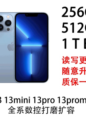 iphone13 13mini 13pro 13promax系列扩容256G 512G 1TB