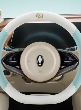 丽驰金鲤L7L6L5L1A7米咖B01B02小轮电动方向盘套四季通用把套